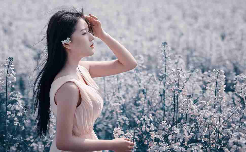 香港站群服务器租用