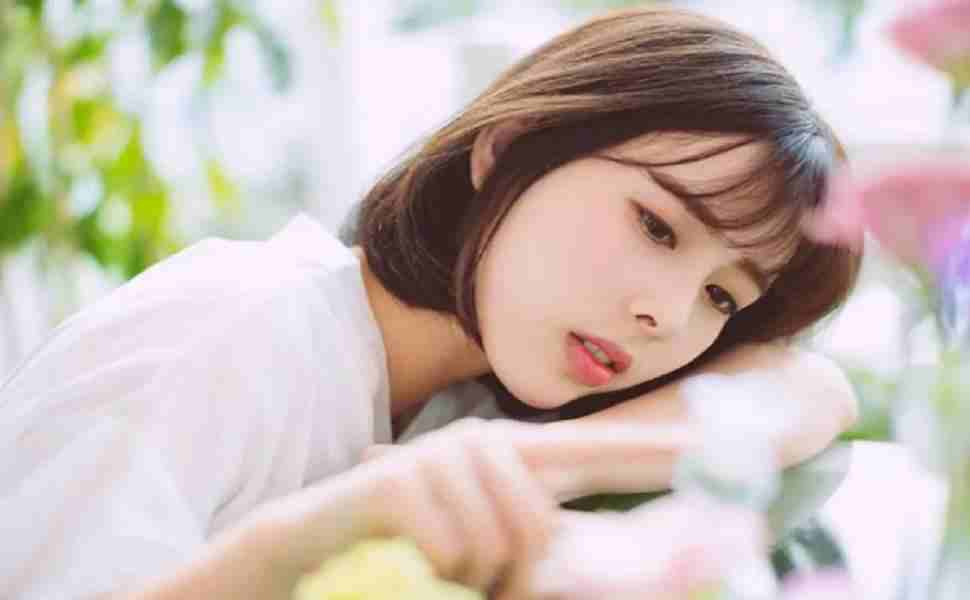 无名泛镜像站群